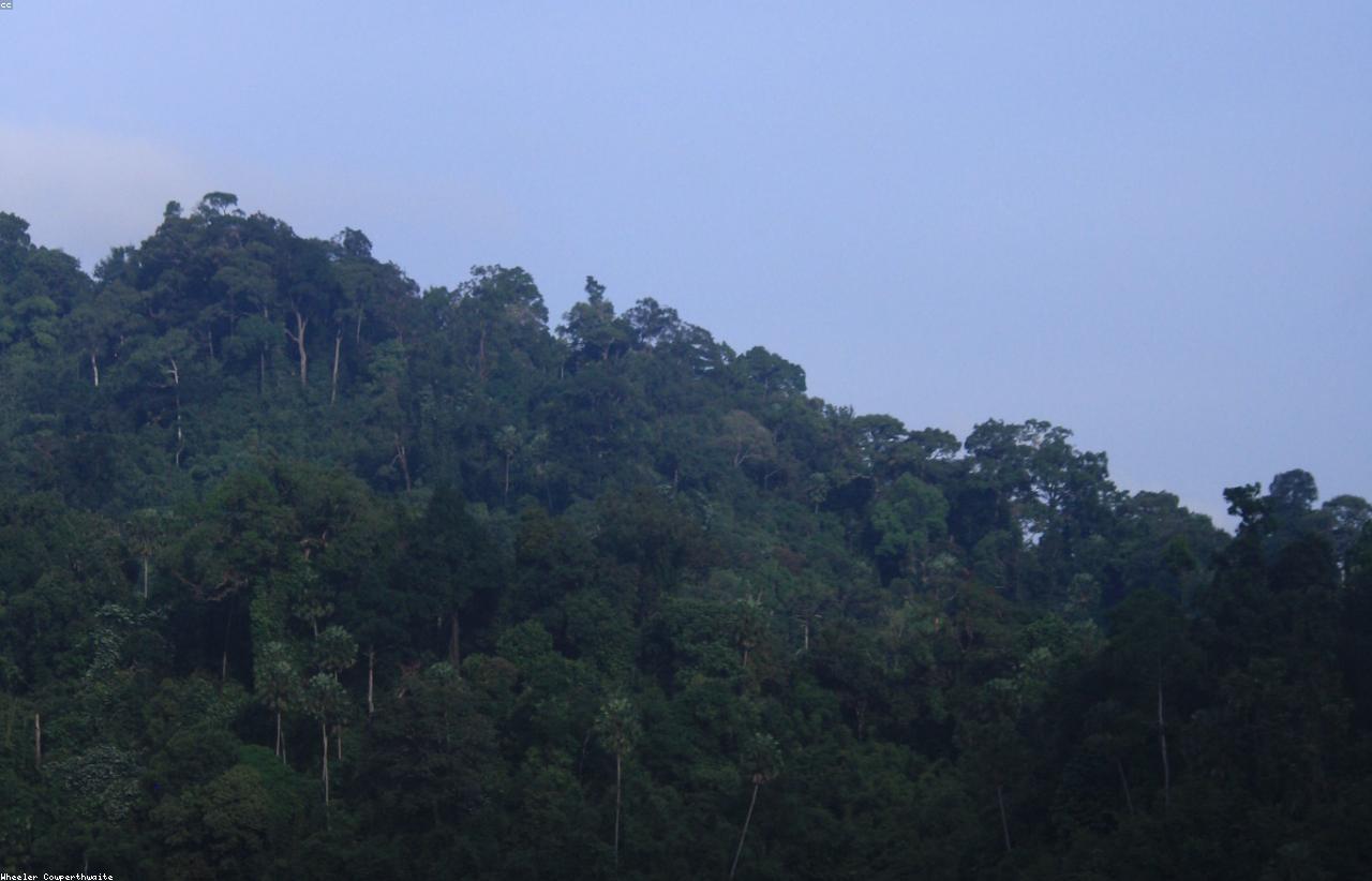 Thailand tropical landscape for a Khao Sok National Park guide