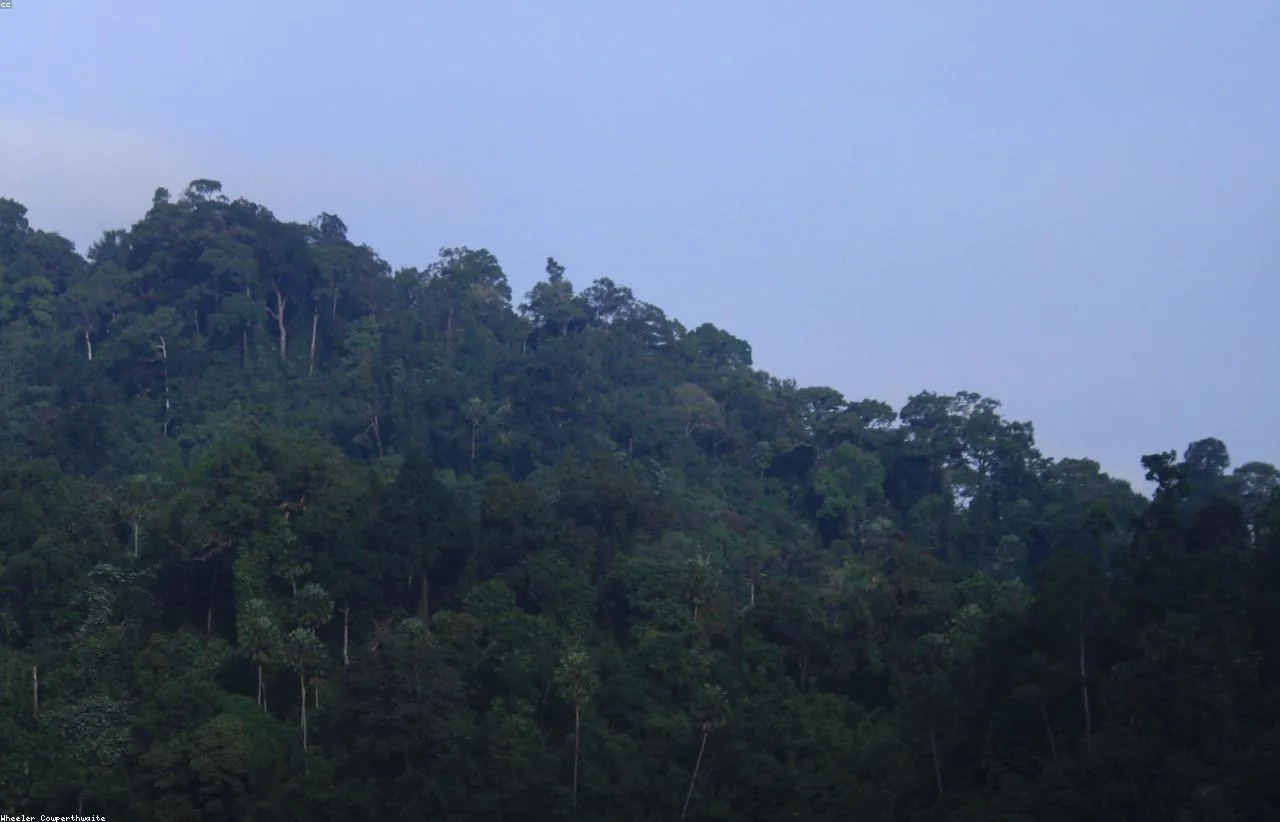 Thailand tropical landscape for a Khao Sok National Park guide
