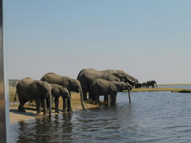 eSIM-Abdeckung für South Africa, Botswana