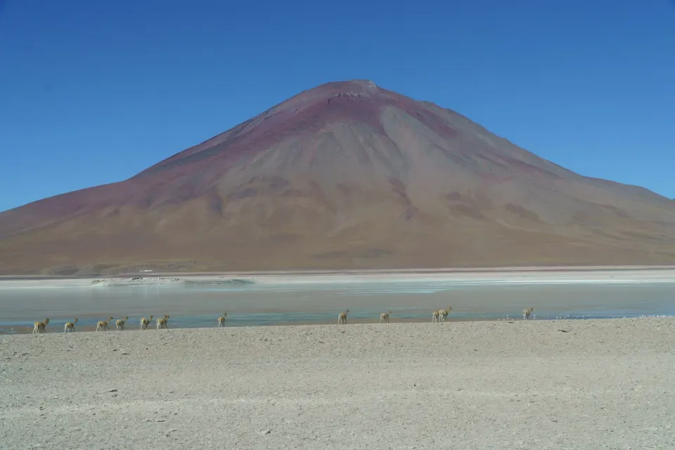 Bolivia eSIM coverage
