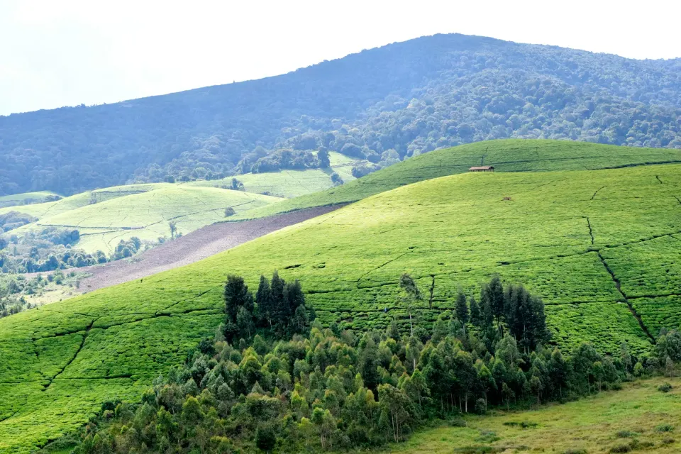Burundi eSIM coverage
