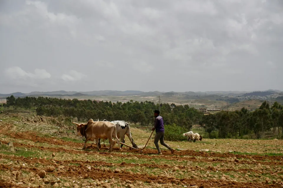 تغطية eSIM في Eritrea