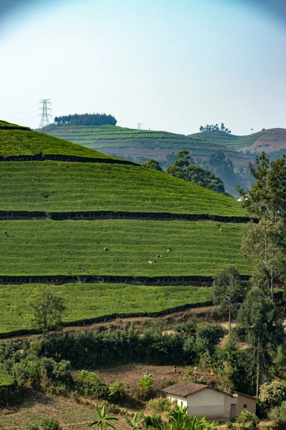 Cobertura eSIM para Rwanda