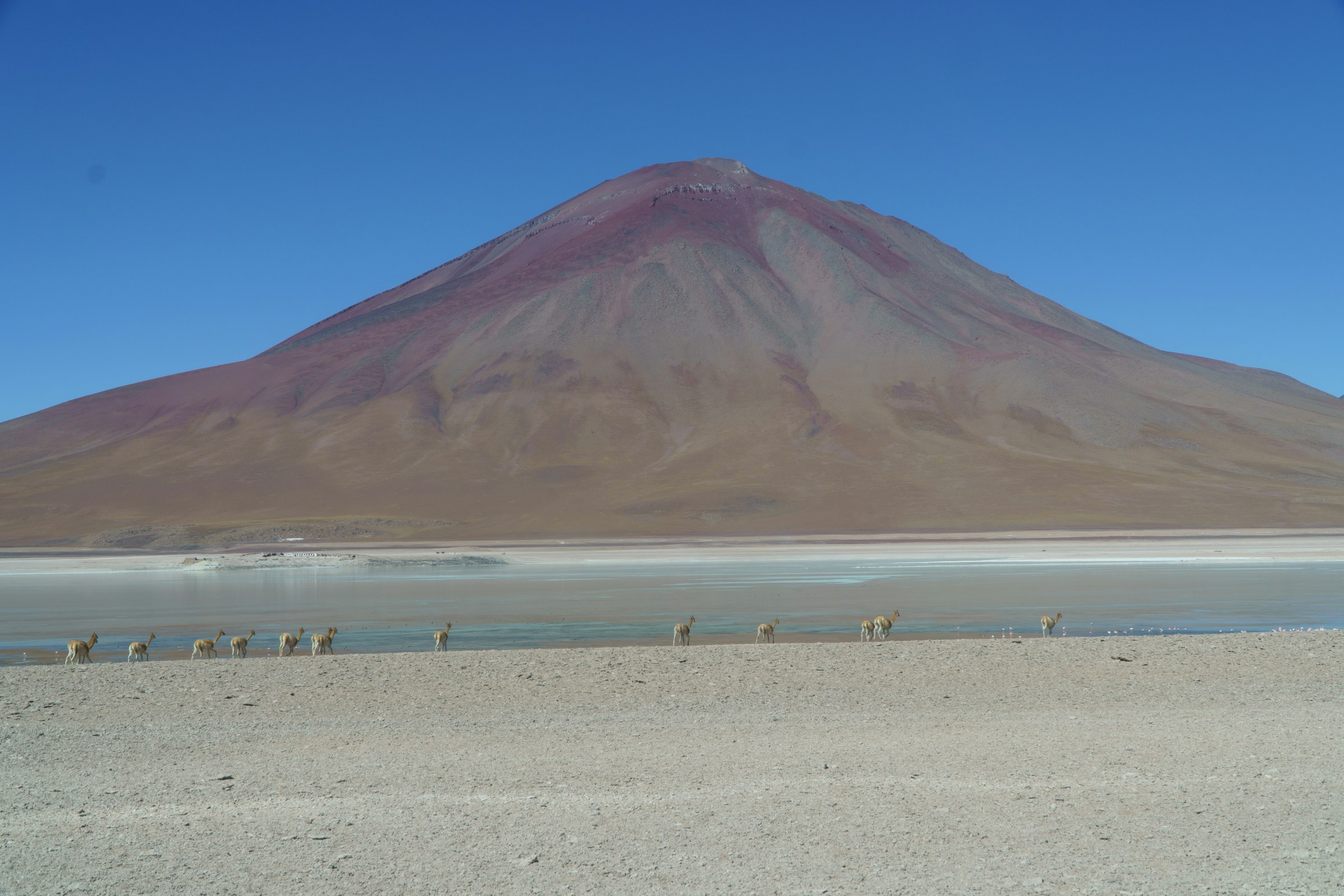 Bolivia eSIM coverage