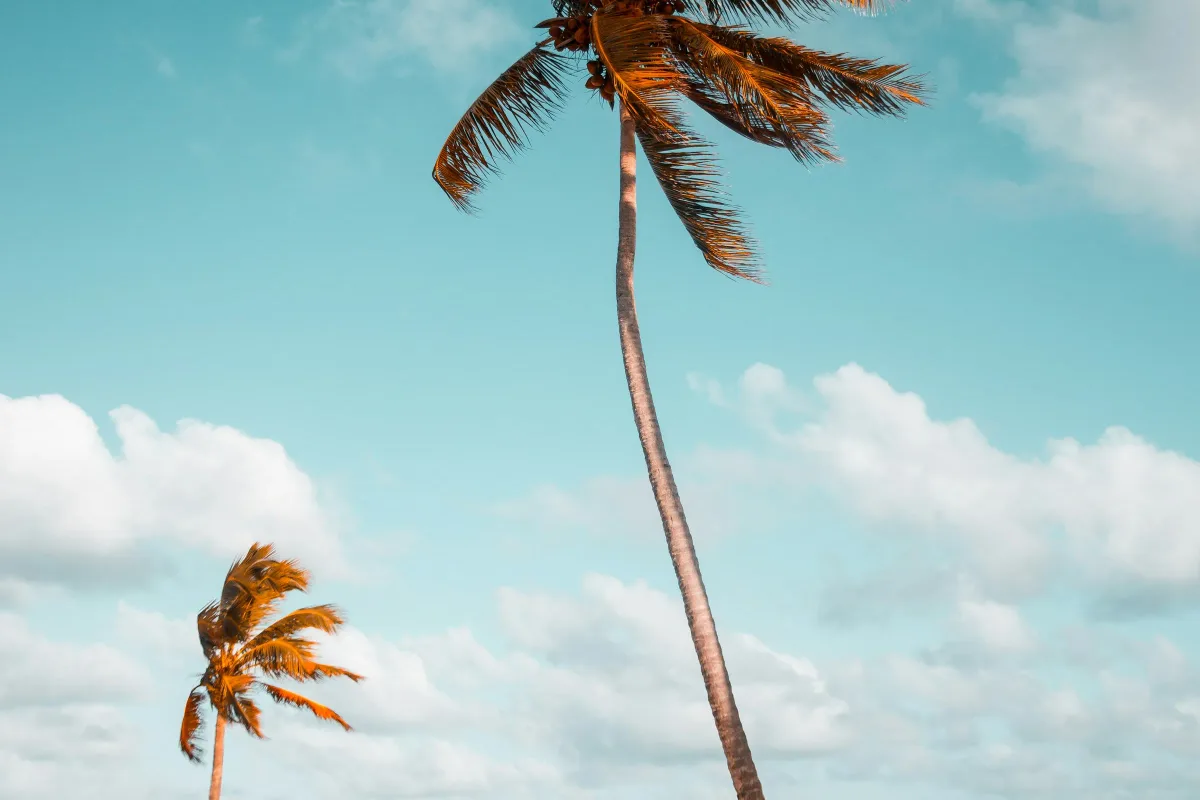 Dominican Republic traveler staying connected on a local trip