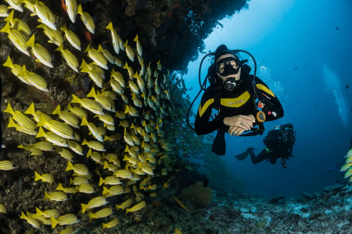 Red Sea coral reef and clear water in Egypt