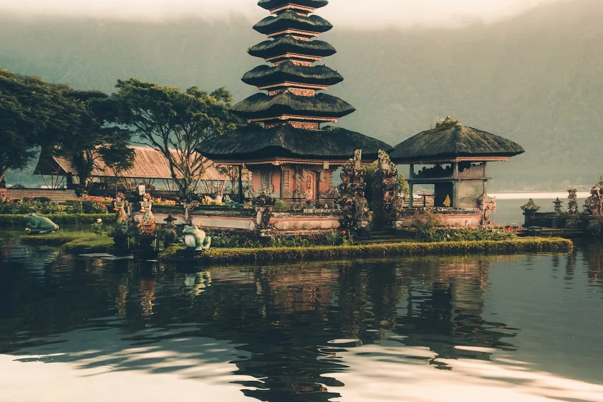 Ubud rice terraces and palm trees in central Bali