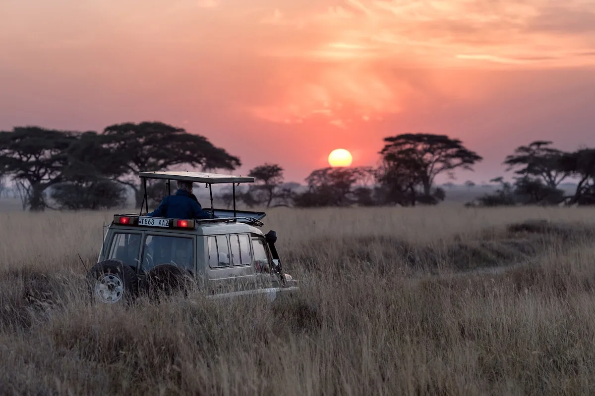 Wildlife on the Maasai Mara savanna at golden hour
