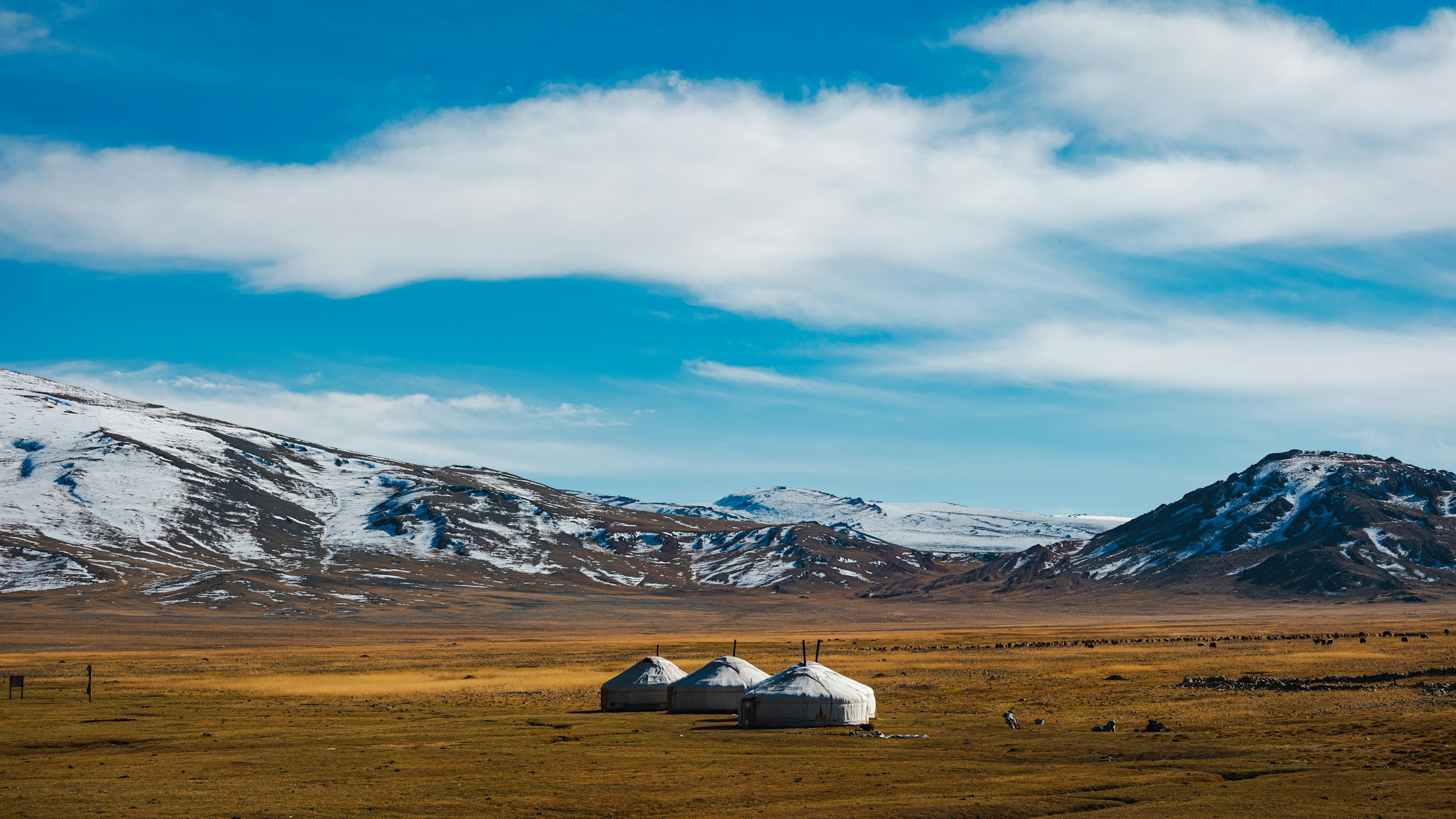 Mongolia eSIM coverage