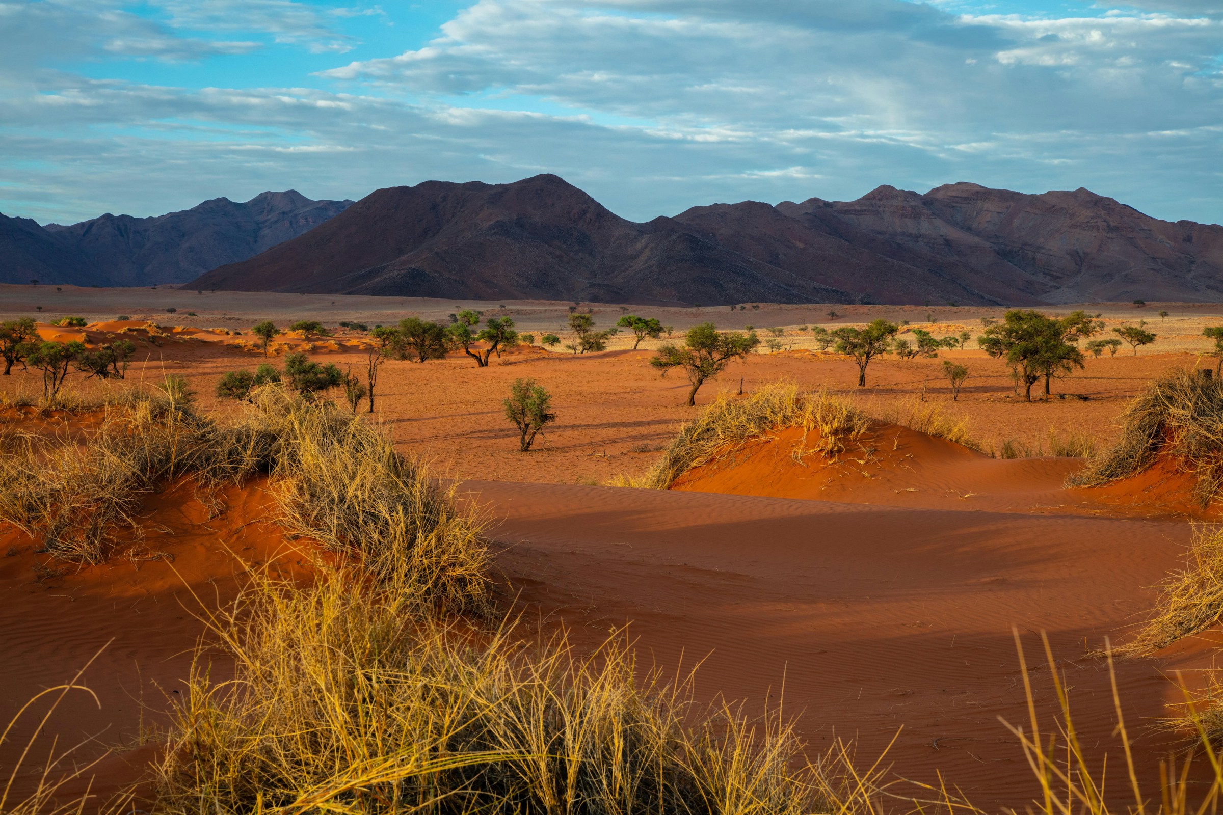 Namibia eSIM coverage