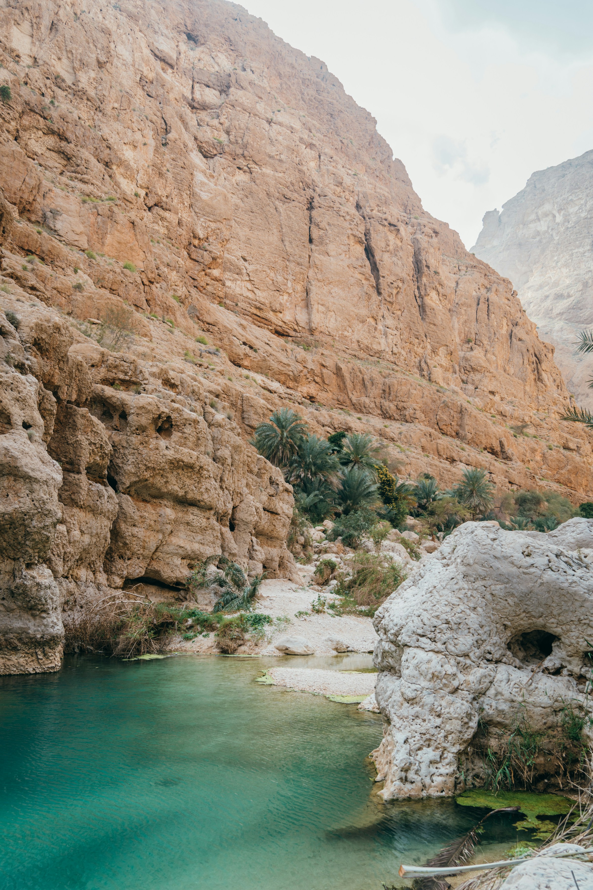 Oman eSIM coverage