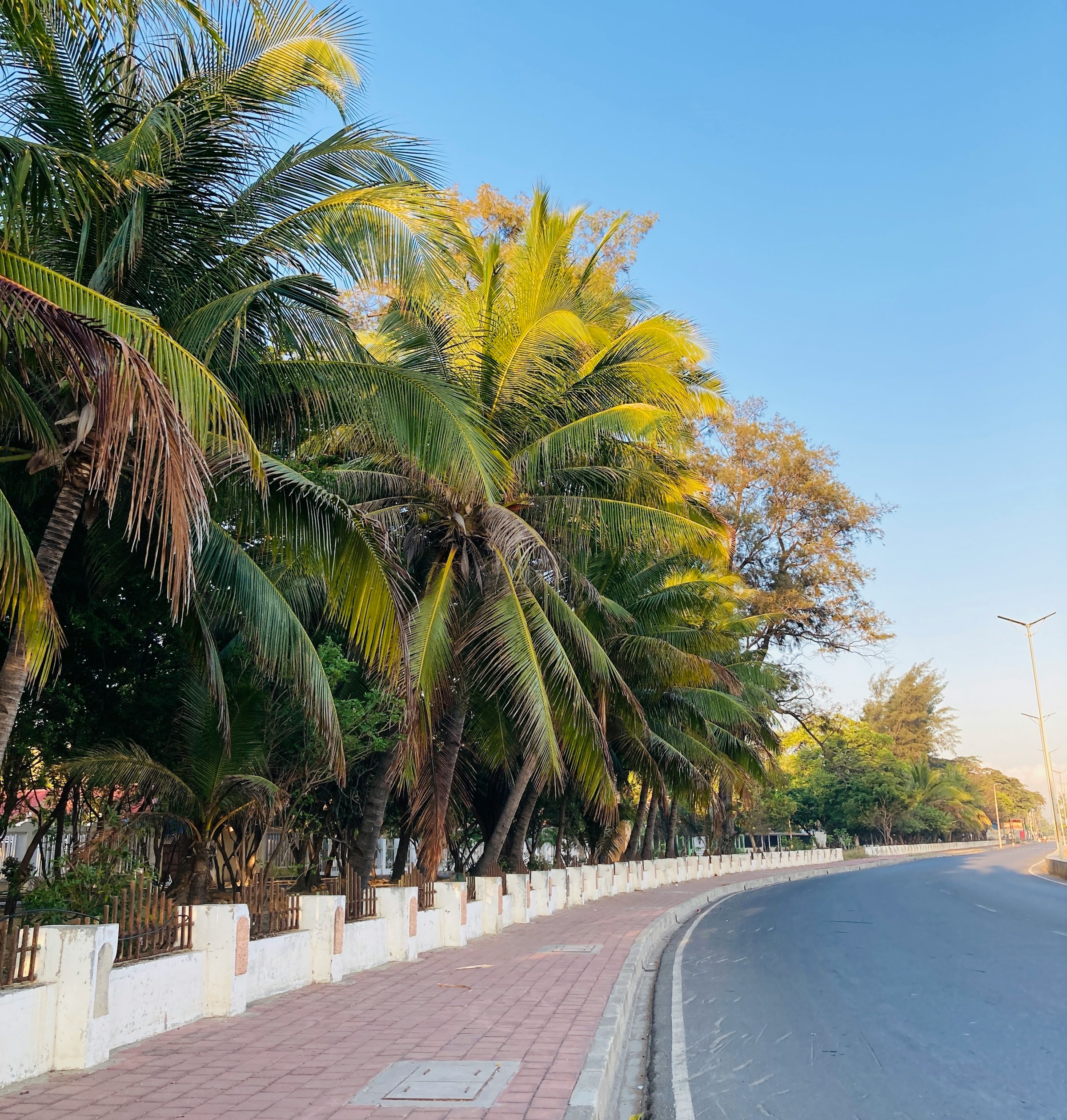 تغطية eSIM في Timor-Leste